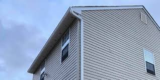 Best Siding Painting and Refinishing  in Rosepine, LA